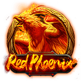 pp image